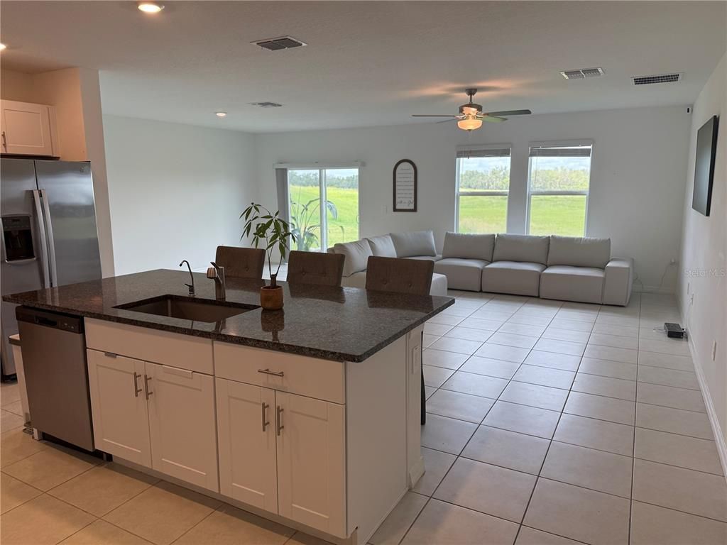 Interior, Kitchen, Living room, Recessed Lighting, Stainless Steel Appliances