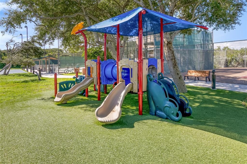 Backyard, Exterior, Playground