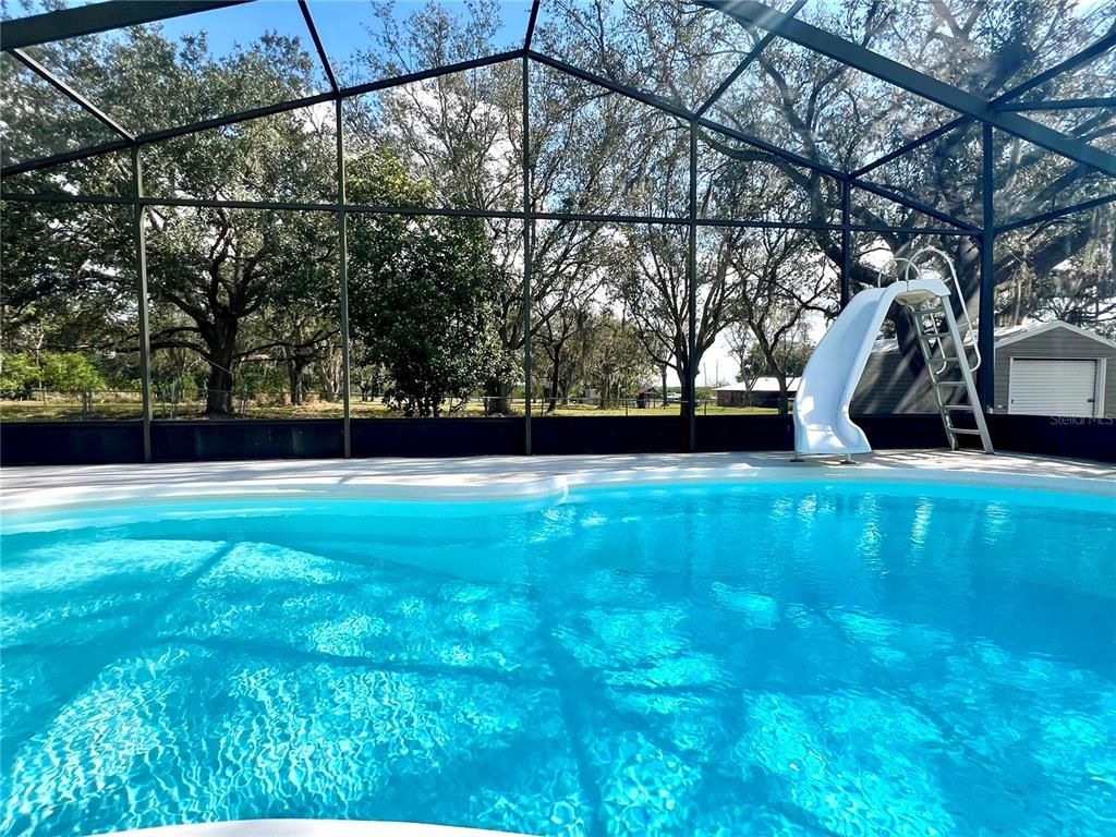 Glass Ceilings, Interior, Pool, Sun Room
