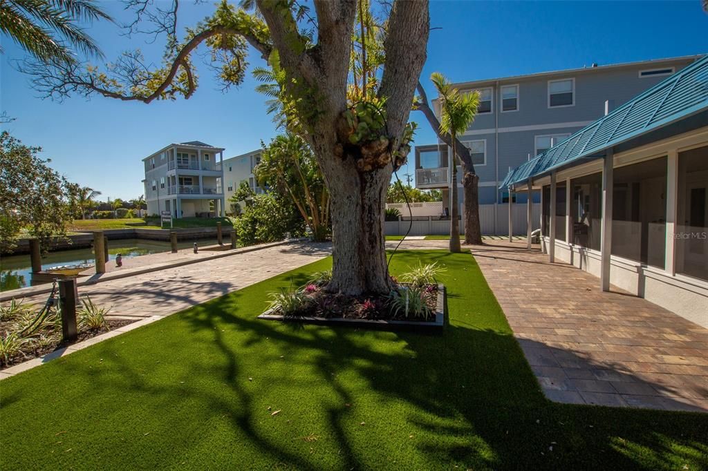 Backyard, Exterior, Water