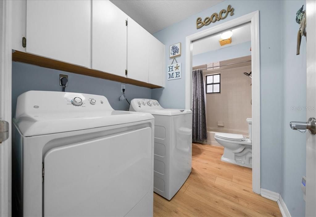 Bathroom, Interior, Washer, Wood Texture Flooring