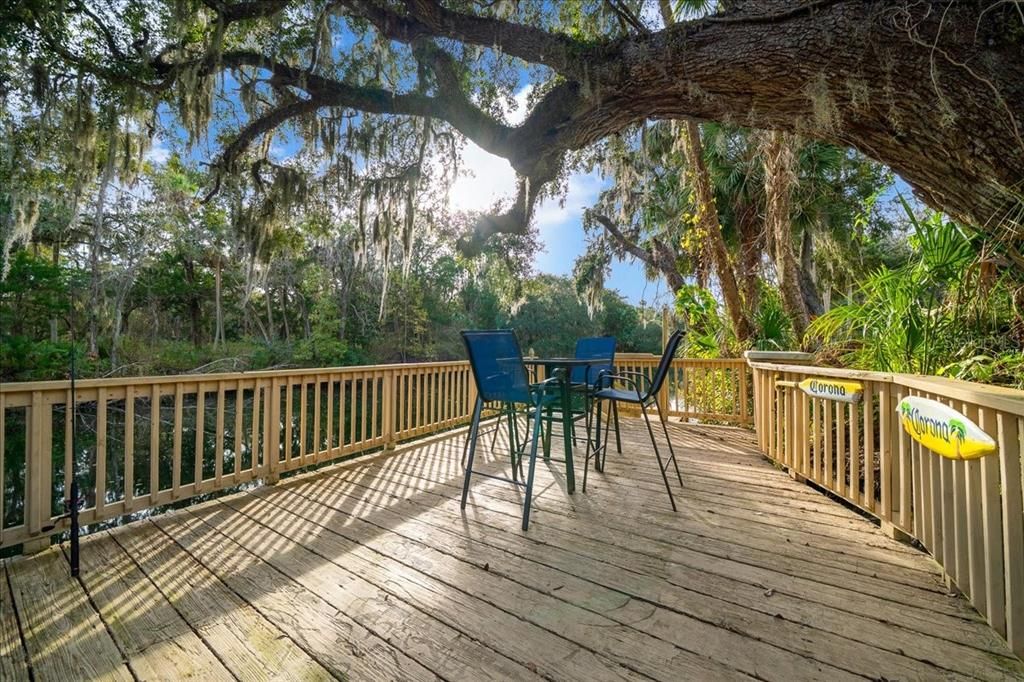 Exterior, Wood Texture Flooring