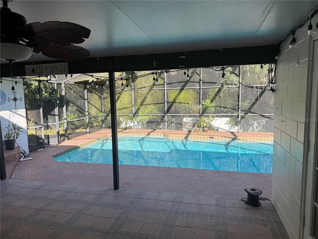 Interior, Pool, Sun Room