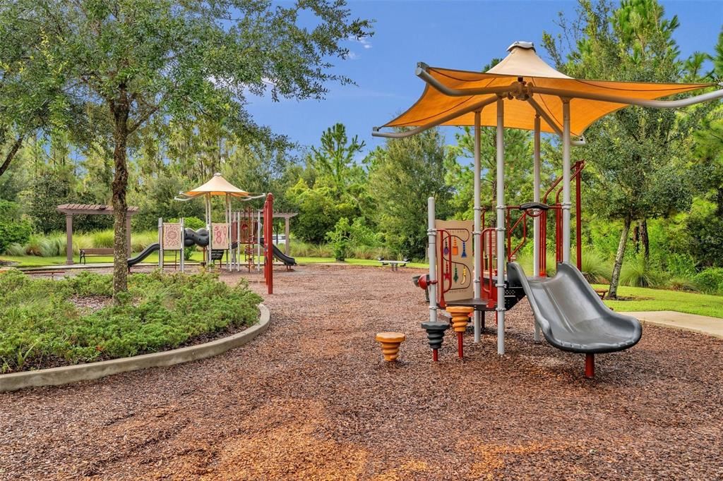 Backyard, Exterior, Playground