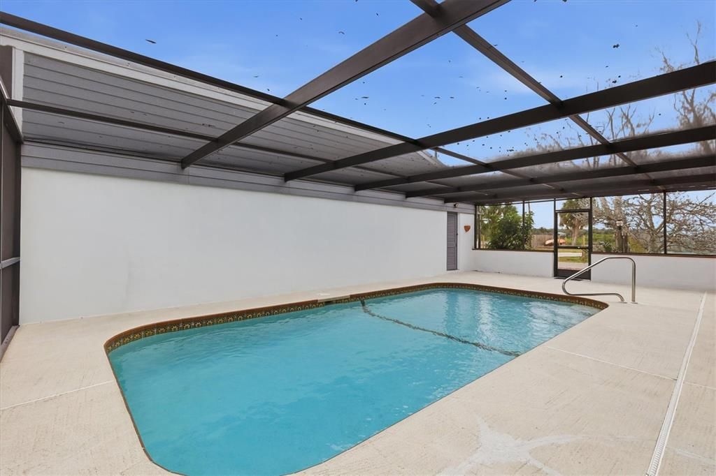 Glass Ceilings, Interior, Pool, Sun Room