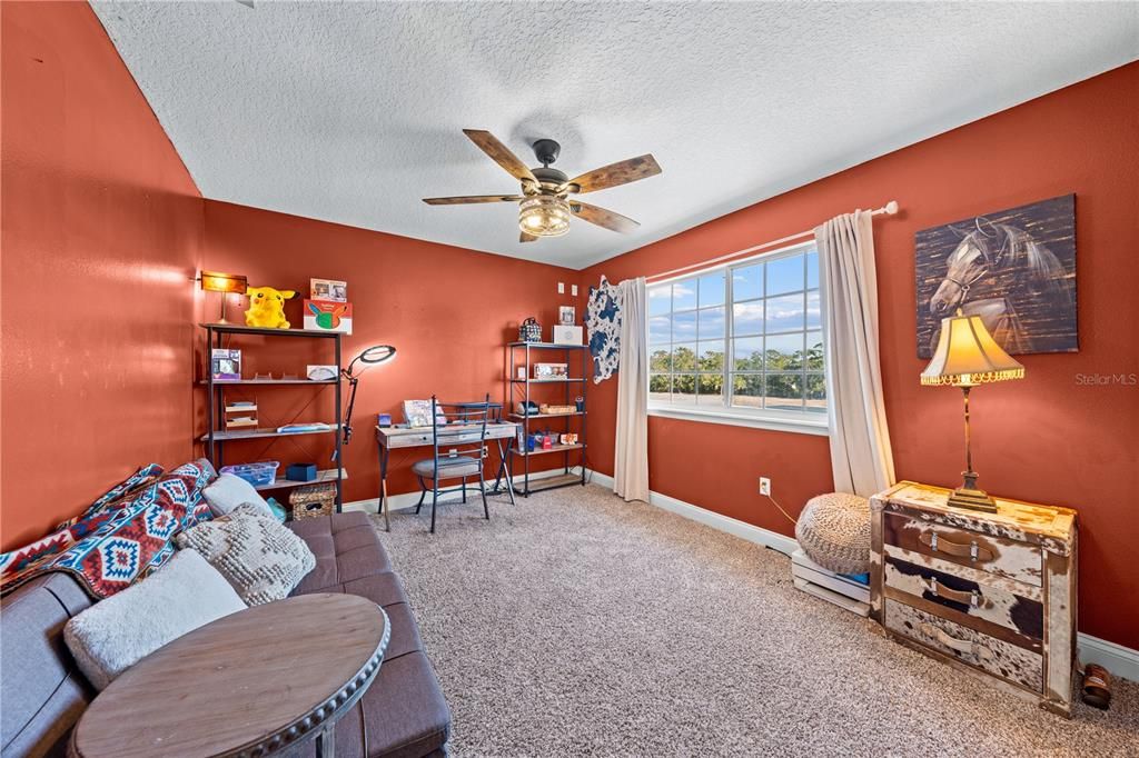 Home Office, Interior, Living room