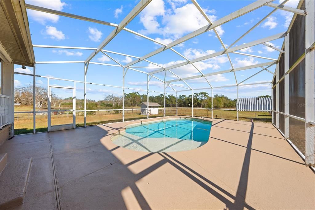 Glass Ceilings, Interior, Pool, Sun Room