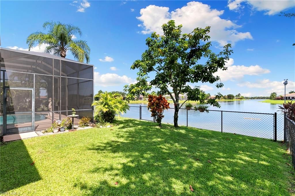 Backyard, Exterior, Water
