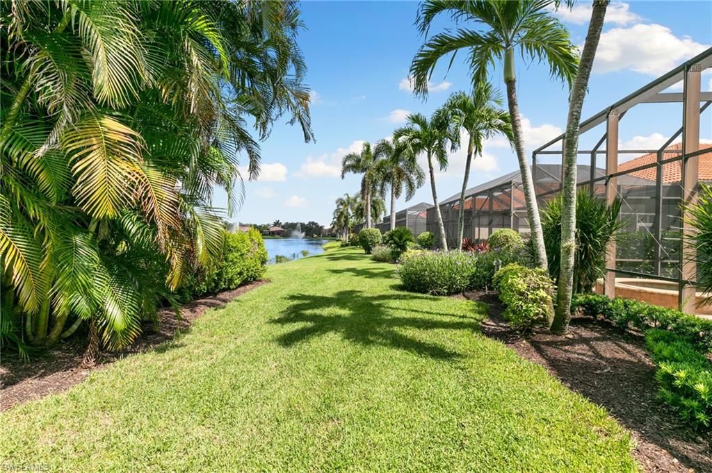 Backyard, Exterior, Water
