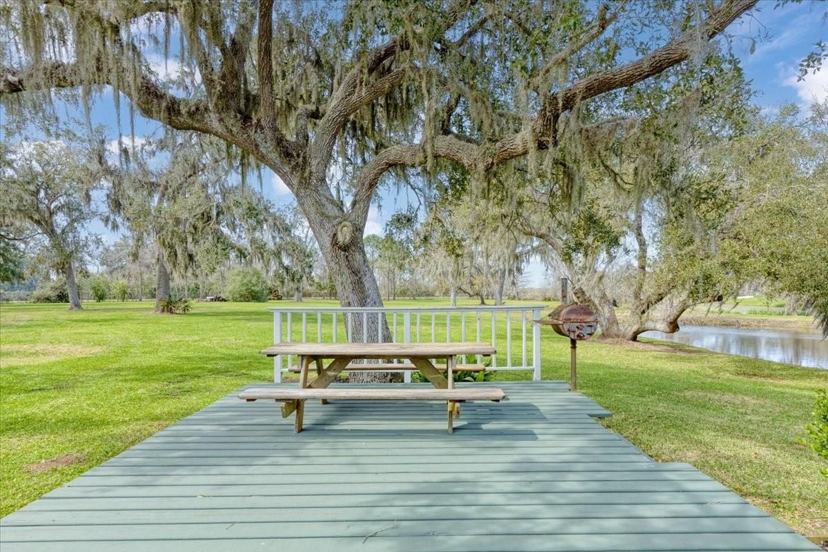 Backyard, Exterior, Water