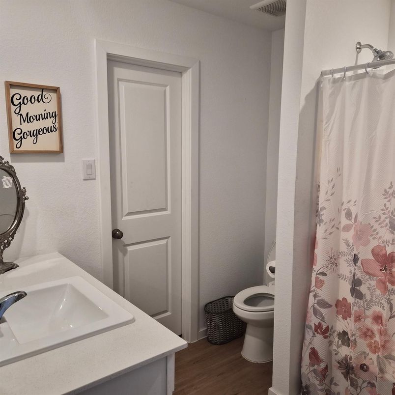 Bathroom, Interior, Wood Texture Flooring