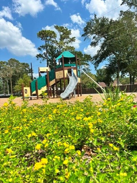 Backyard, Exterior, Playground