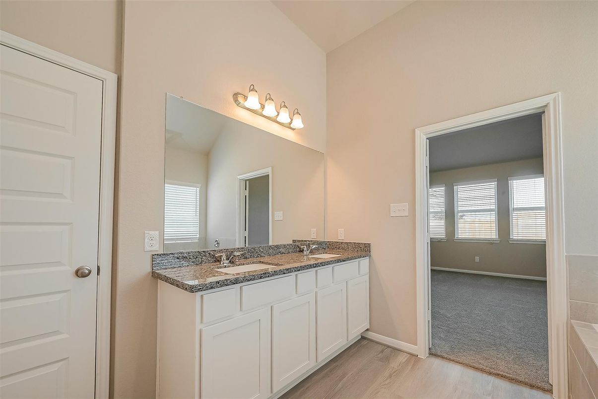 Bathroom, Interior, Wood Texture Flooring