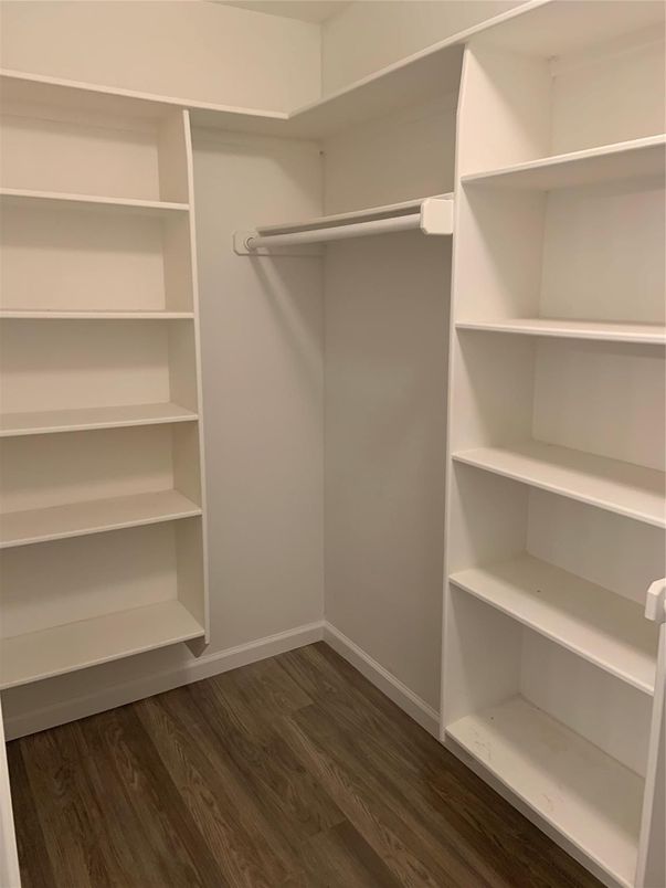 Interior, Walk-in Closets, Wood Texture Flooring