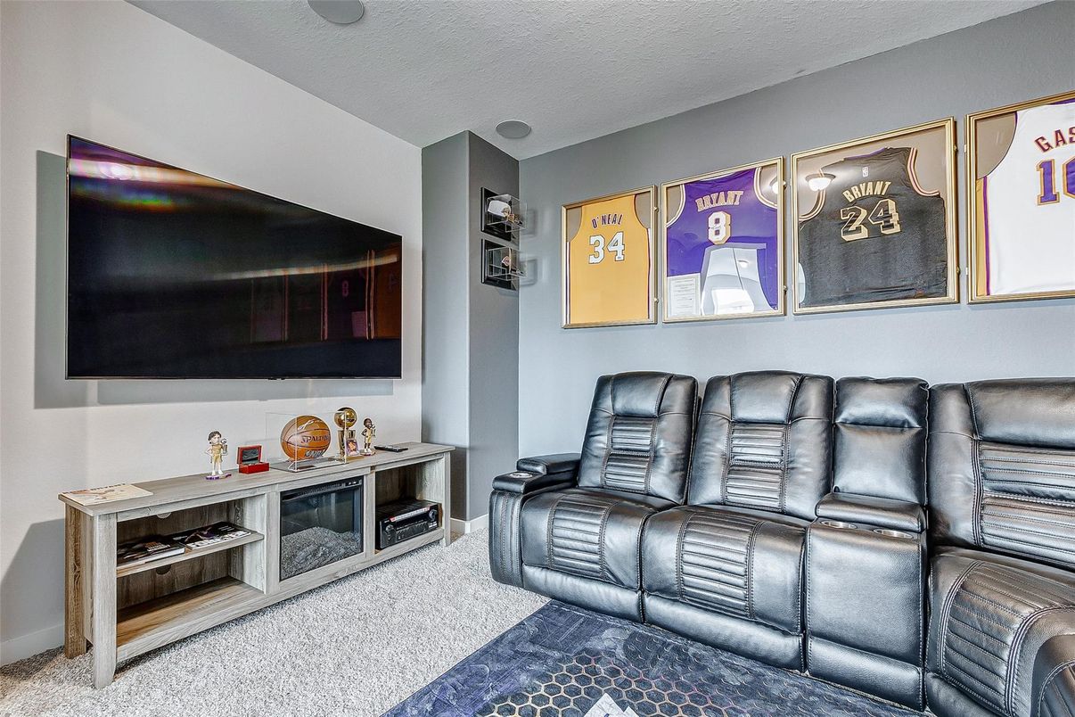 Home Theatre Room, Interior