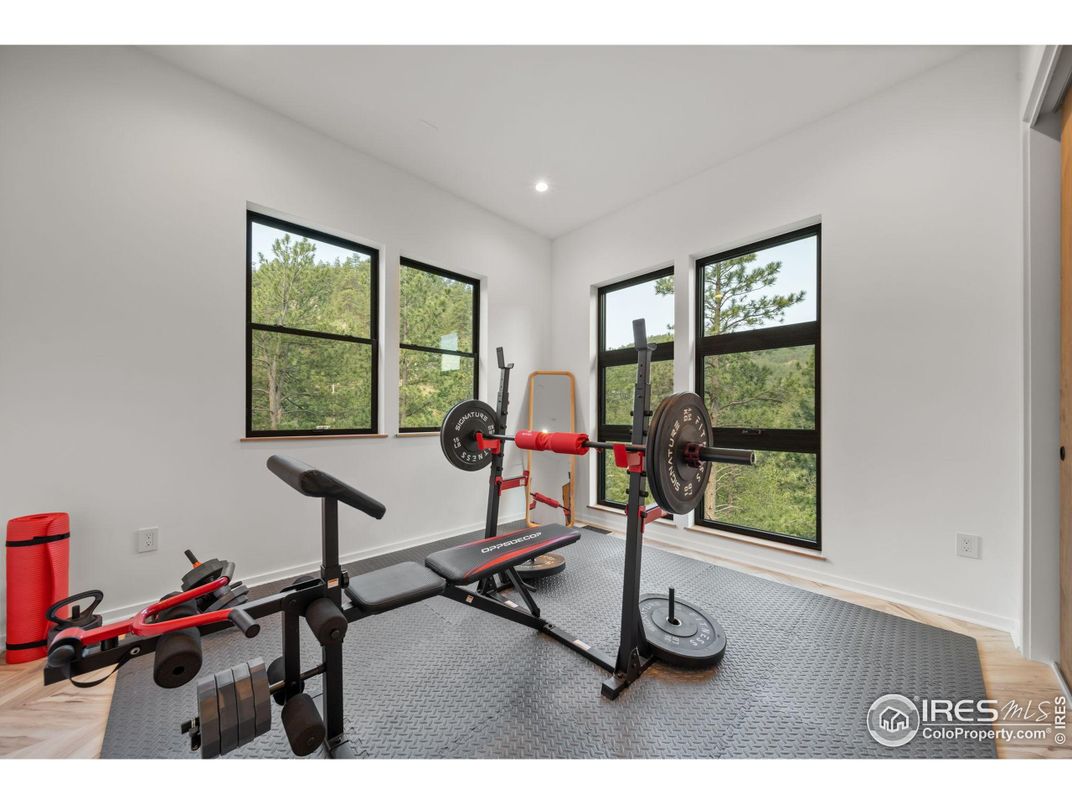 Fitness Equipment, Interior, Recessed Lighting, Wood Texture Flooring