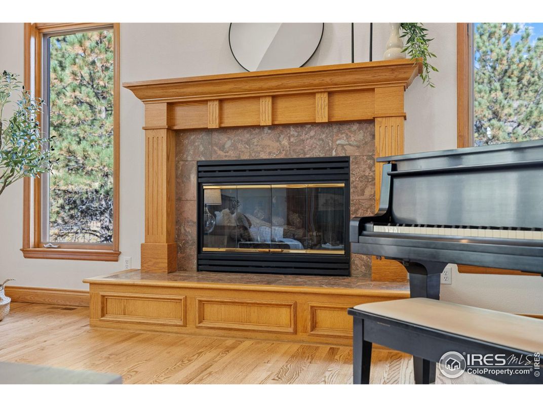 Fireplace, Interior, Piano, Wood Texture Flooring