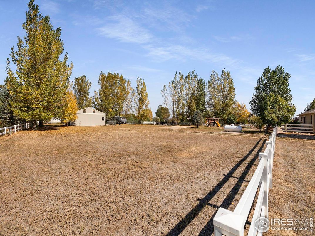 Backyard, Exterior, Playground