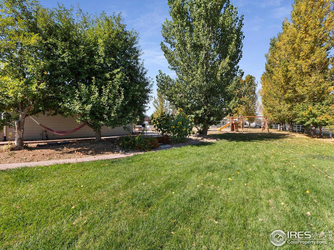 Backyard, Exterior, Playground