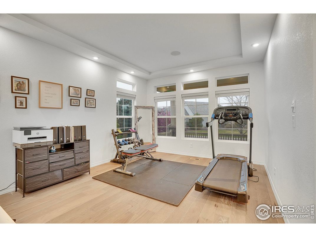Fitness Equipment, Interior, Recessed Lighting, Wood Texture Flooring