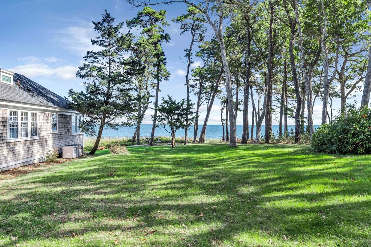 Backyard, Exterior, Water