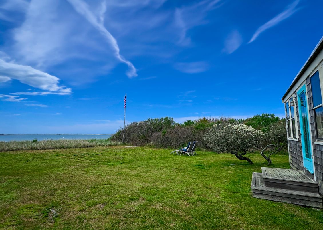 Backyard, Exterior, Water