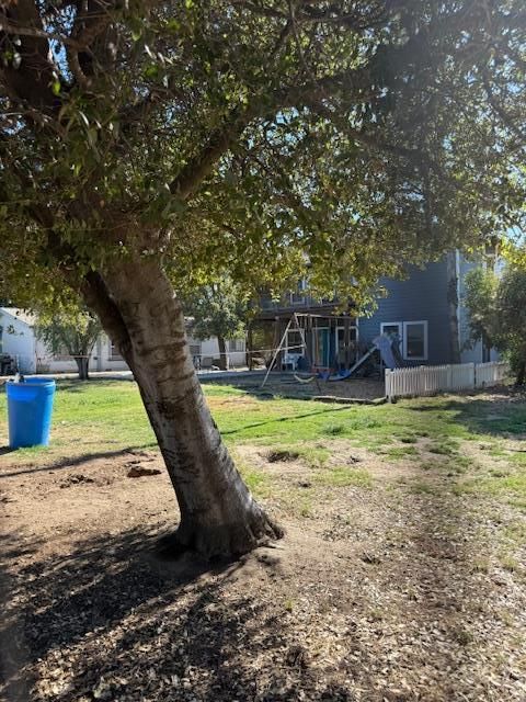 Backyard, Exterior, Playground