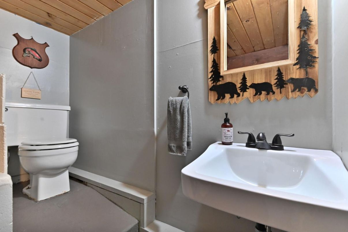 Bathroom, Interior, Wooden Ceilings