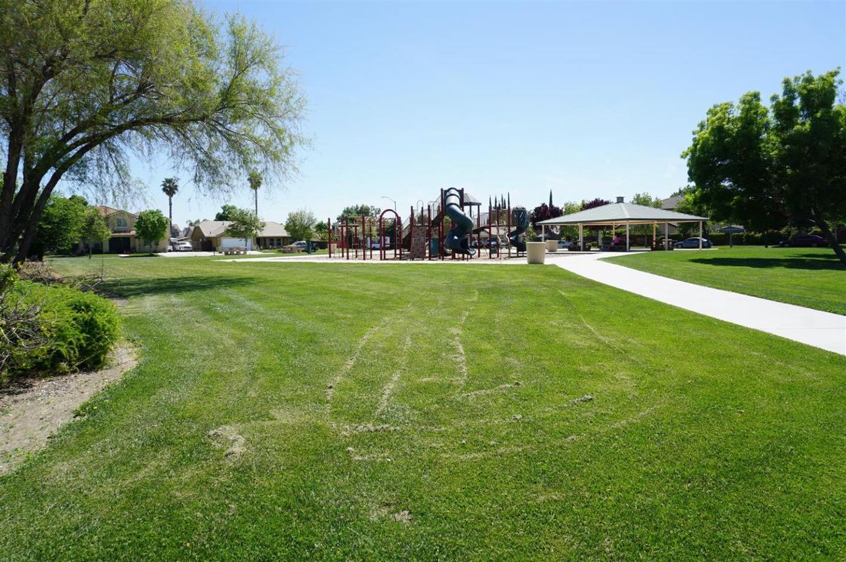 Backyard, Exterior, Playground