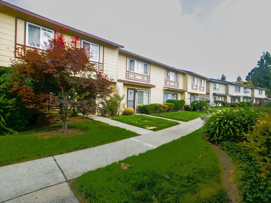 Backyard, Exterior, Facade, Rowhouse