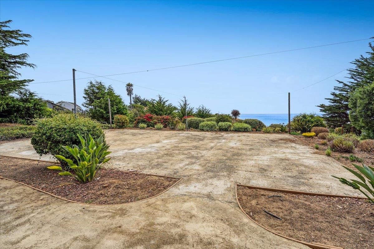 Backyard, Exterior, Water