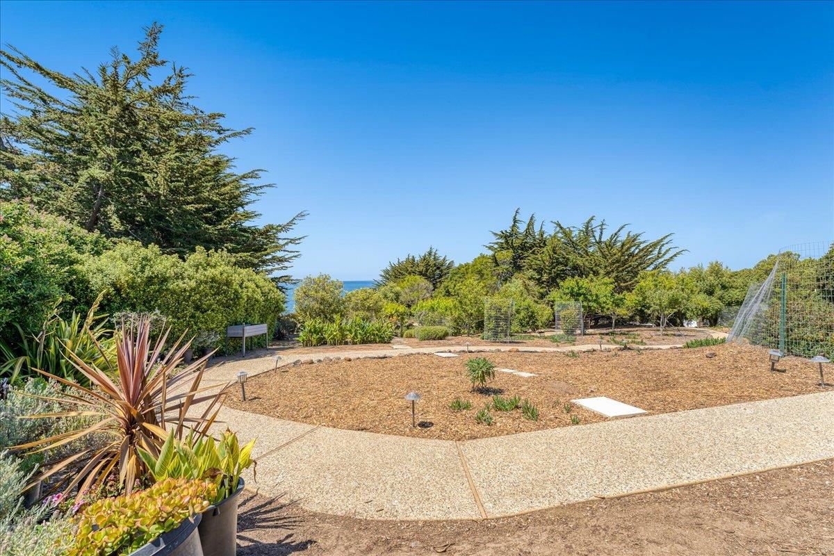 Backyard, Exterior, Water