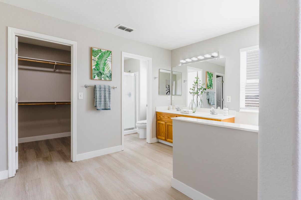 Bathroom, Interior, Walk-in Closets, Wood Texture Flooring