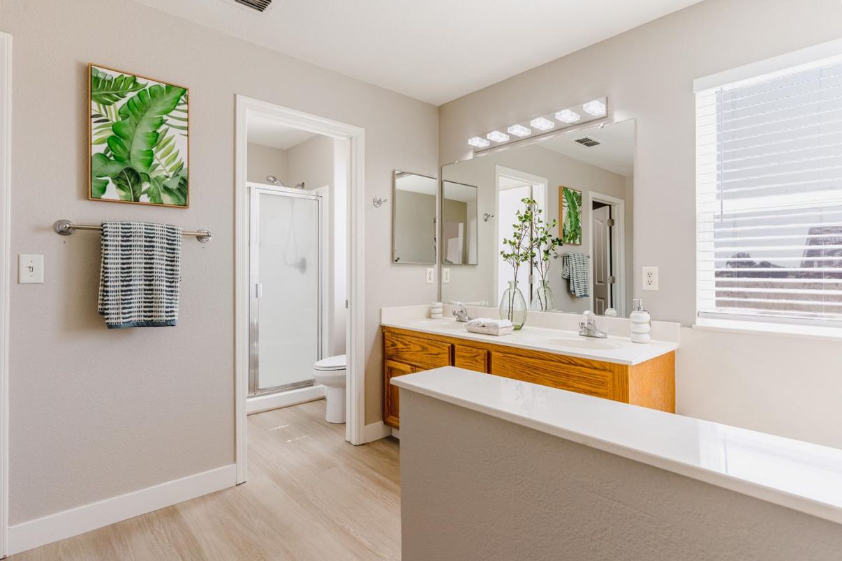 Bathroom, Dual Sink Vanities, Interior, Wood Texture Flooring