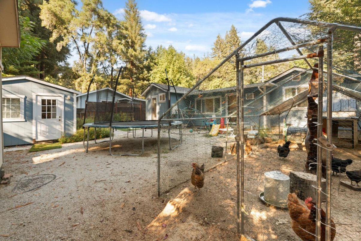 Backyard, Exterior, Playground