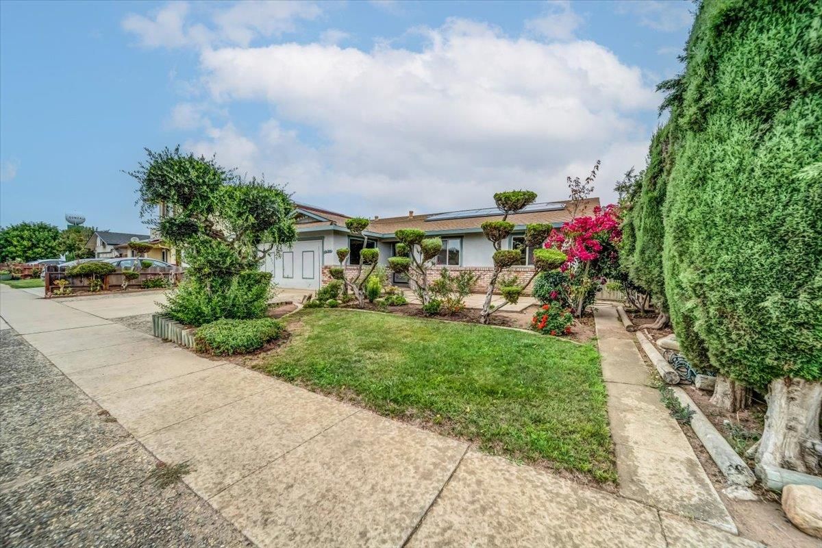 Backyard, Exterior, Solar Panels