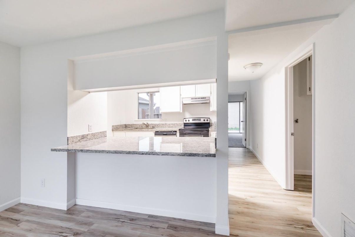 Interior, Kitchen, Stainless Steel Appliances, Wood Texture Flooring
