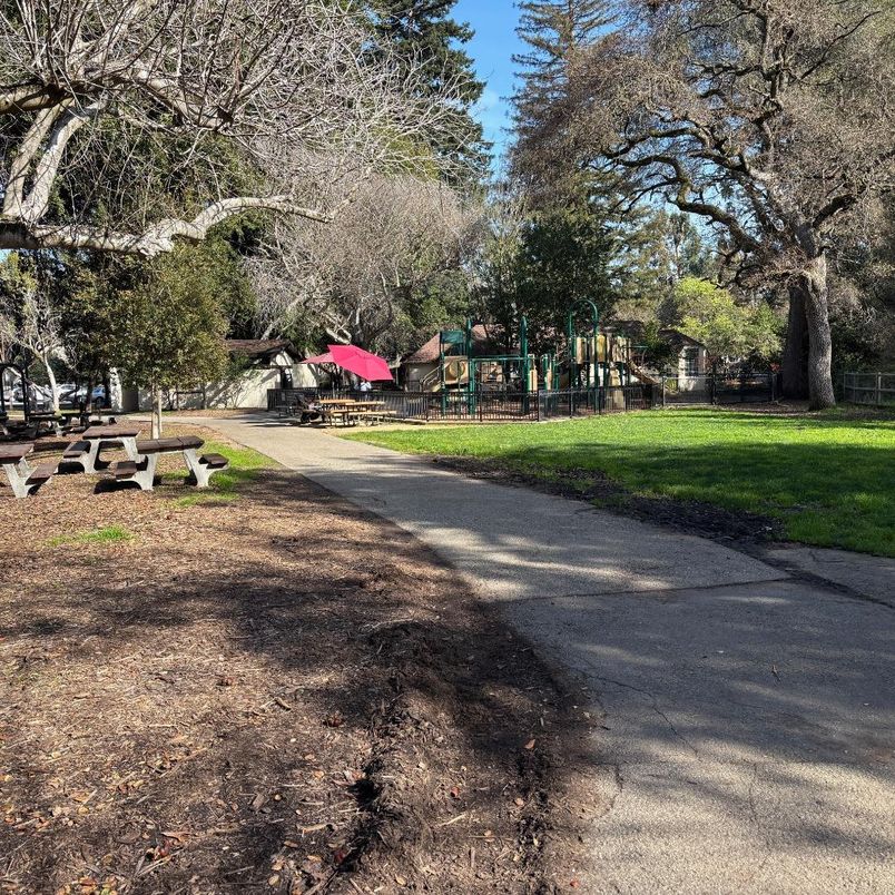 Backyard, Exterior, Playground