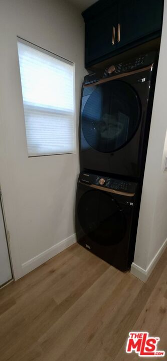 Interior, Utility Closets, Washer, Wood Texture Flooring