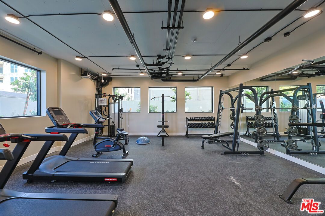 Fitness Equipment, Gym, Interior, Recessed Lighting