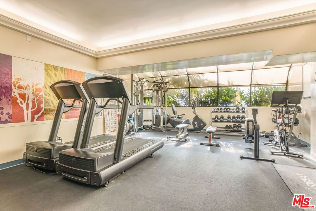 Fitness Equipment, Gym, Interior
