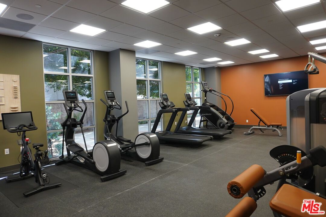 Fitness Equipment, Interior, Recessed Lighting