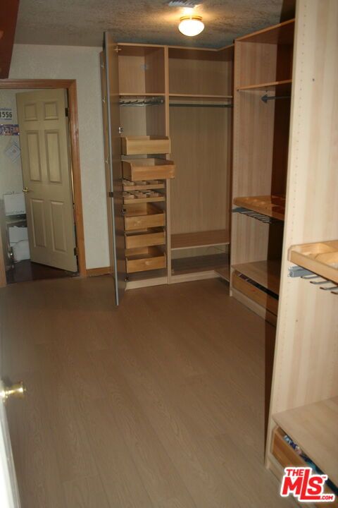 Interior, Walk-in Closets, Wood Texture Flooring