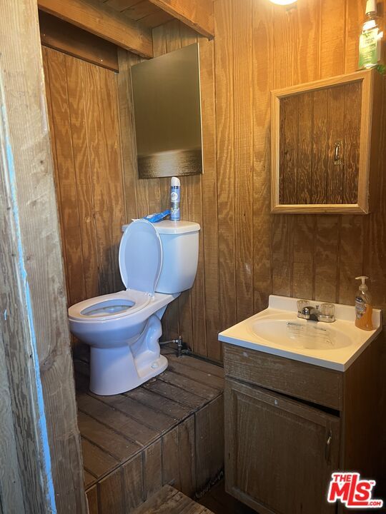 Bathroom, Interior, Wooden Walls