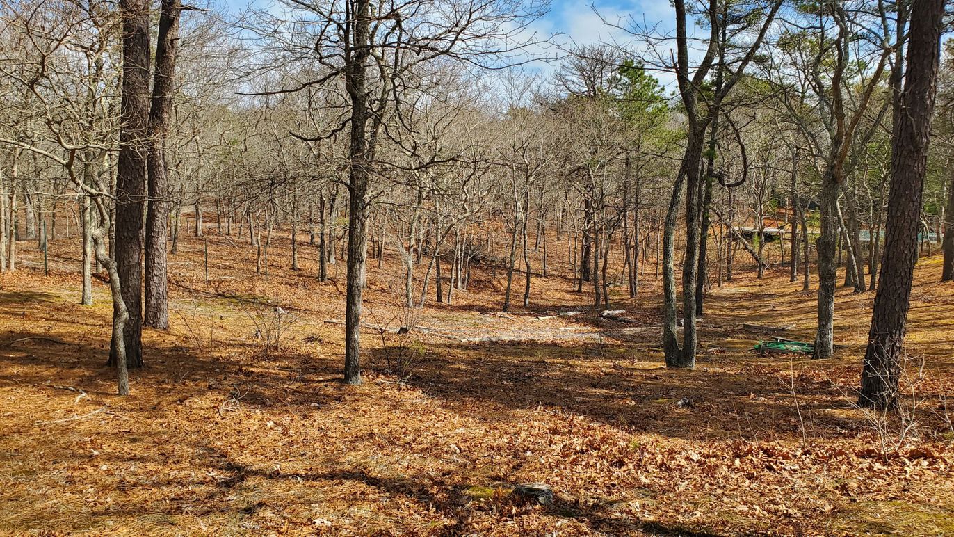 DE Listing image placeholder