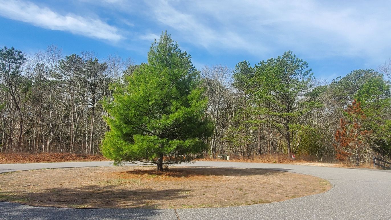 DE Listing image placeholder