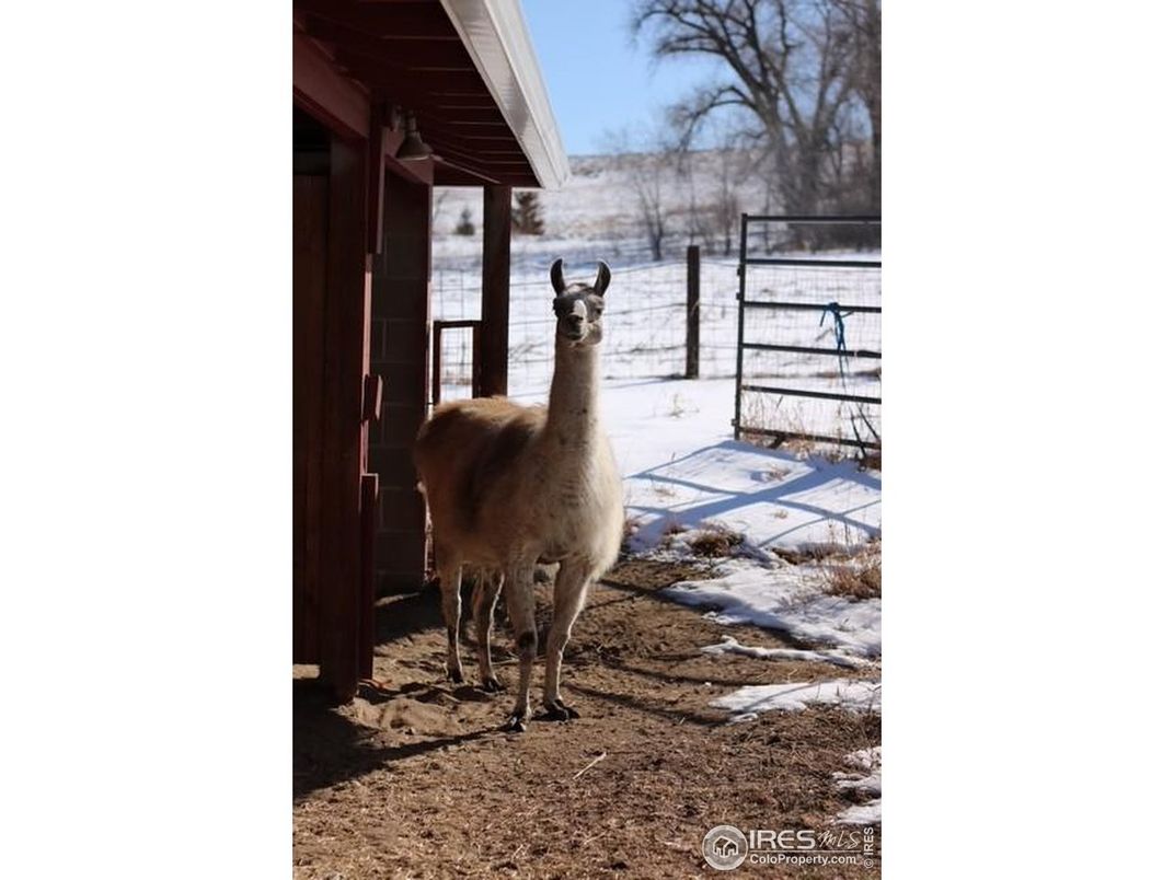 DE Listing image placeholder