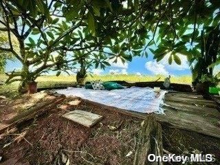 Backyard, Exterior, Lake