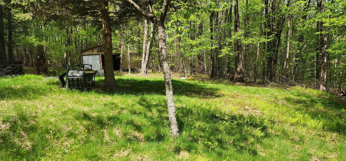 Backyard, Detached Garage, Exterior