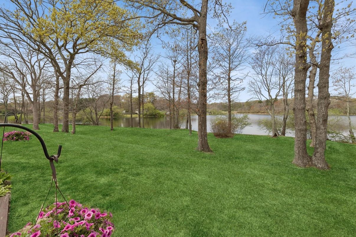 Backyard, Exterior, Water